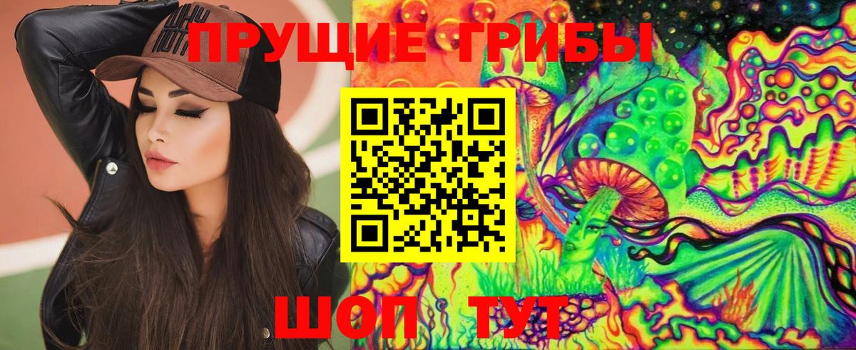 Галлюциногенные грибы Psilocybe  Вход с VPN  Галлюциногенные грибы Cubensis  Шебекино 
