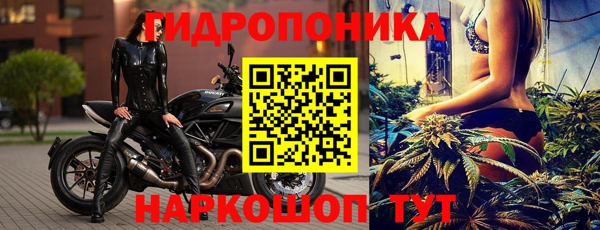 Конопля Ganja  Вход с VPN  Шебекино  Канабис марихуана  Шишки марихуана AK-47 